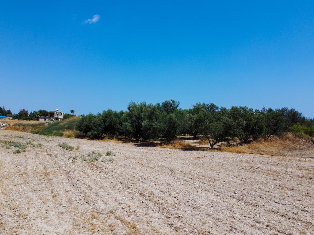 agricultural-field-for-sale-in-apostolos-loukas-quarter-in-aradipou-CY2413