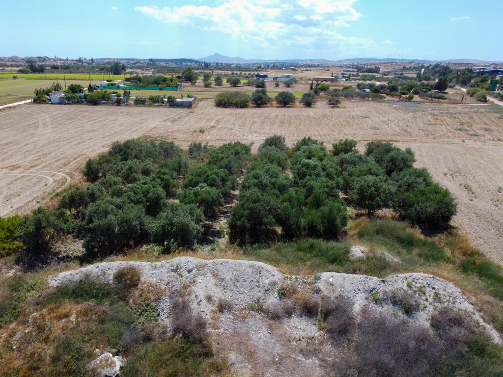 agricultural-field-for-sale-in-apostolos-loukas-quarter-in-aradipou-CY2413