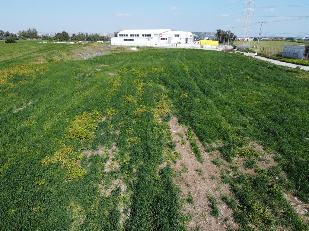 industrial-field-for-sale-in-apostolos-loukas-quarter-in-aradipou-CY2393