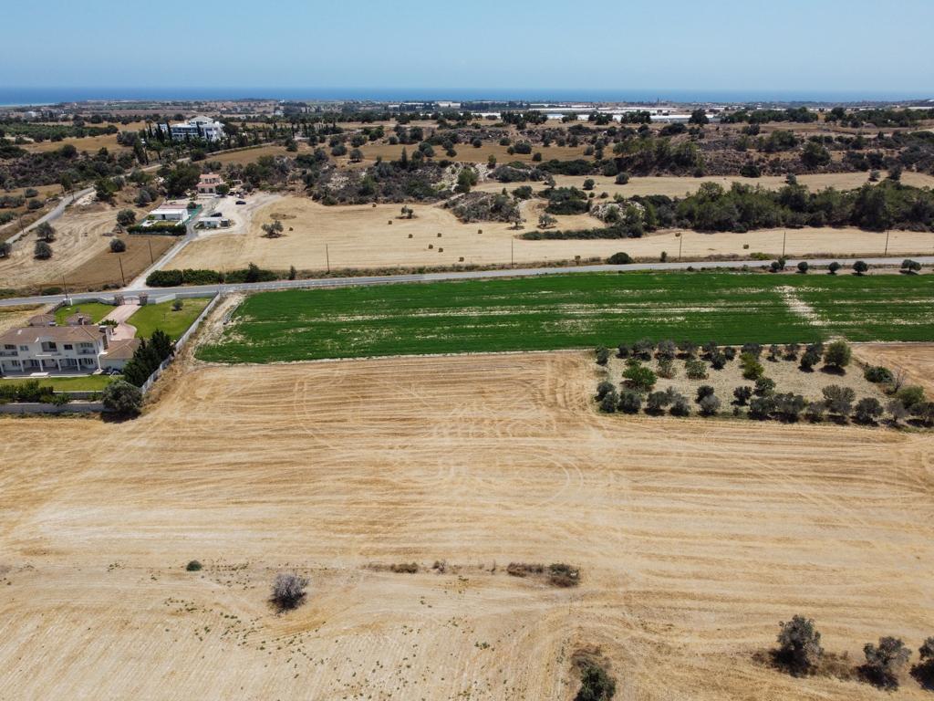 agricultural-field-for-sale-in-mazotos-CY2354