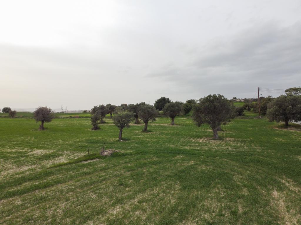 residential-plot-for-sale-in-agglisides-CY2247