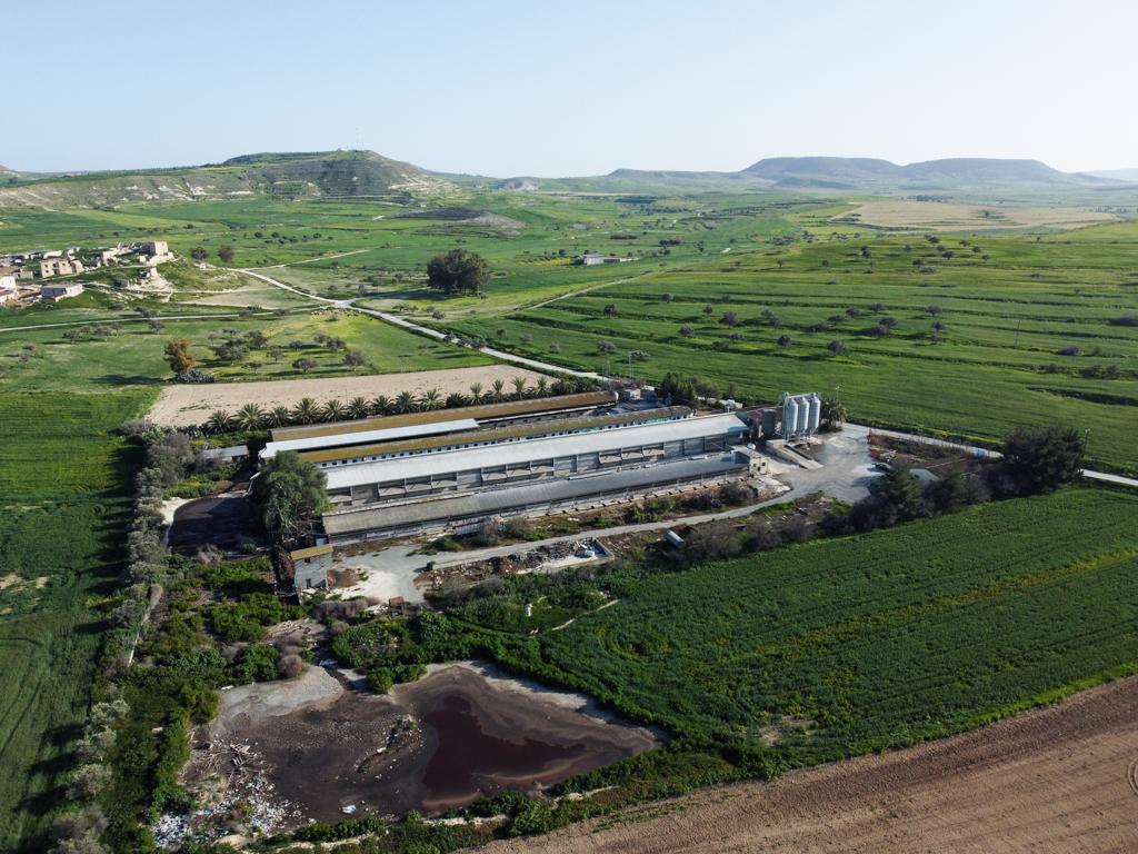 big-farm-for-sale-in-petrofani-community-of-larnaca-district-CY2207