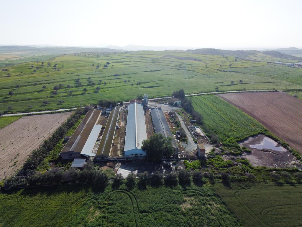 big-farm-for-sale-in-petrofani-community-of-larnaca-district-CY2207