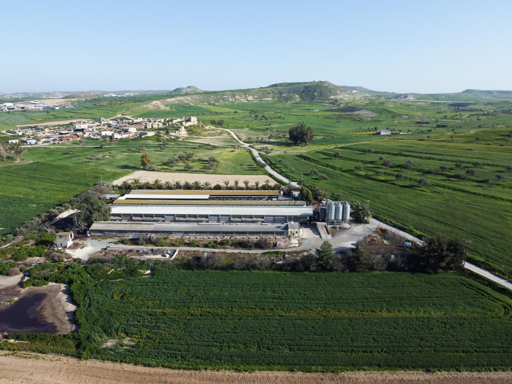 big-farm-for-sale-in-petrofani-community-of-larnaca-district-CY2207