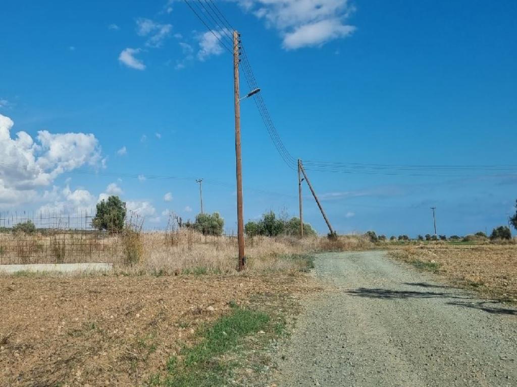 touristic-field-in-the-seaside-area-of-agios-theodoros-CY2206