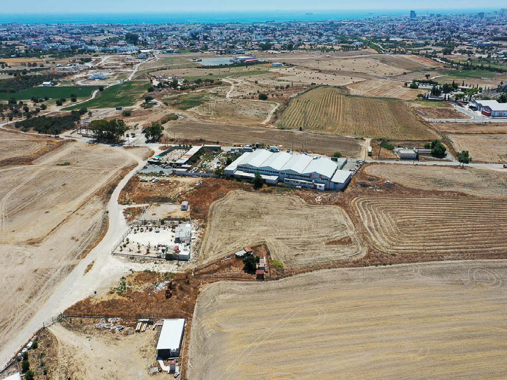 industrial-field-within-the-administrative-boundaries-of-aradippou-CY2094